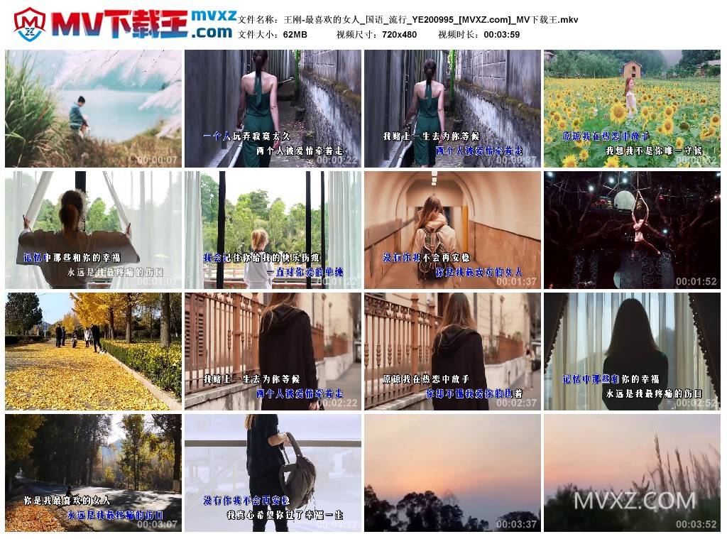 王刚-最喜欢的女人_国语_流行_YE200995